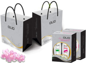 in tui giay cho shop