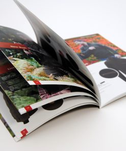 In catalogue giá rẻ quận 12