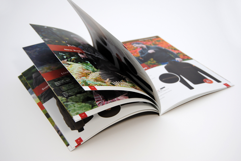 In catalogue giá rẻ quận 12