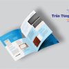 in catalog quan 12 1