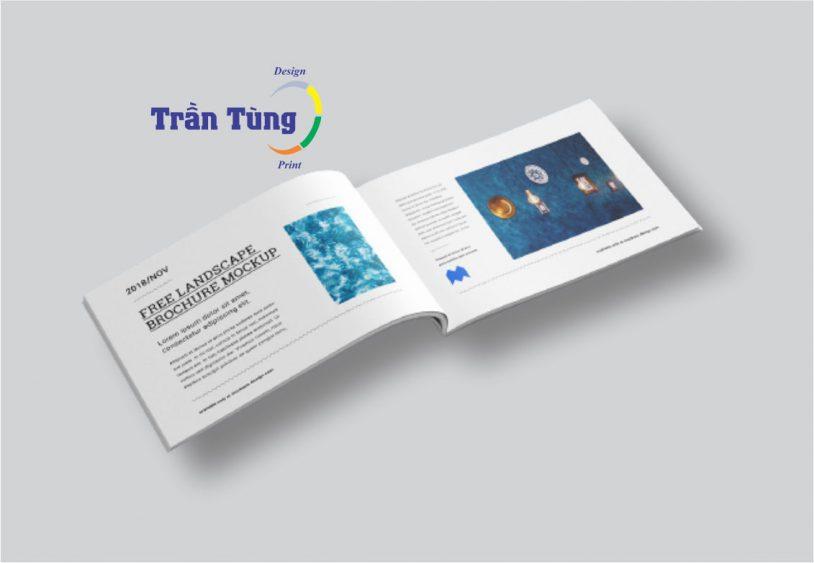 in catalog quan 4.1