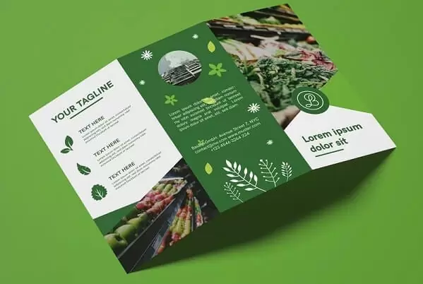 in brochure quan 4.1