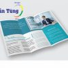 in brochure tphcm